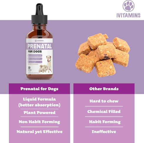 Dog Prenatal Vitamins, Includes Vitamin B Complex & C, Whelping Supplies, 1 Pack: 30 Servings