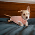SAWMONG Dog Recovery Suit for After Surgery, Spay Surgical Suit for Female Dogs, Pink, XX-Large, Dog Onesie