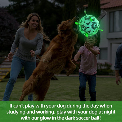 Light Up Dog Ball, Interactive Glow in The Dark Soccer Ball, Tug Water Toy for Small & Medium Dogs, Puppy Gifts (6 Inch)
