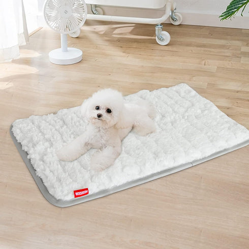 Soft Plush Dog Bed Crate Mat (21" X 14"), Machine Washable Dog Sleeping Mat with Anti Slip Bottom