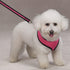 Mesh Dog Harness - Large, Pink