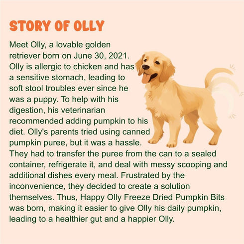 Pumpkin Treats for Dogs - Freeze Dried Pure Pumpkin, 2oz, Natural Single Ingredient for Digestion
