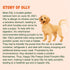 Pumpkin Treats for Dogs - Freeze Dried Pure Pumpkin, 2oz, Natural Single Ingredient for Digestion