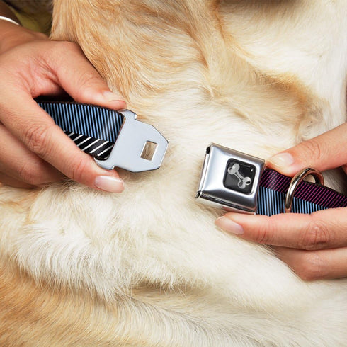 Dog Collar Seatbelt Buckle Hash Mark Stripe Black Multi Color 13 to 18 Inches 1.5 Inch Wide