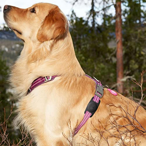 Case-Mate Airtag Dog Collar Holder, Water Resistant Lightweight Protective Airtag Case for Dog Collar - Compatible with