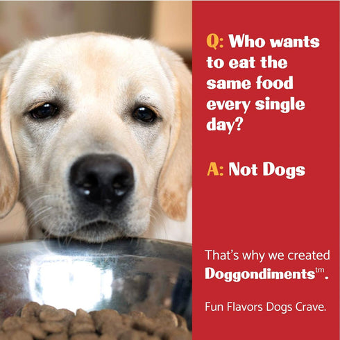 Southern Fried Chicken Flavor Dog Food Topper, Powder, Fun People Food Flavors for Small & Large Breeds