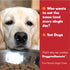 Southern Fried Chicken Flavor Dog Food Topper, Powder, Fun People Food Flavors for Small & Large Breeds