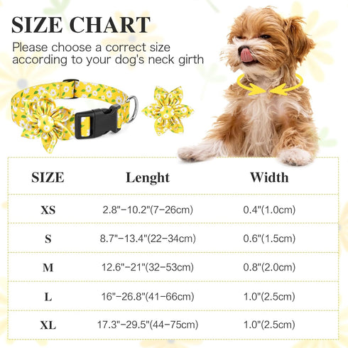 BiPawTi Floral Dog Collar with Daisy Bloom Decoration, Yellow Flower Collar for Small Dogs, Soft Cute Summer Collar (XS)