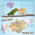 Hpmjz 2 Pcs Bird Toys for Parakeets, Colorful Spin Wheel Toy, Interactive Bird Educational Toy for Small Birds Bird