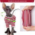 DENTRUN Hairless Cats Shirt, Breathable Daily Wear Clothes, Stripe Vest, Adorable Pajamas Jumpsuit