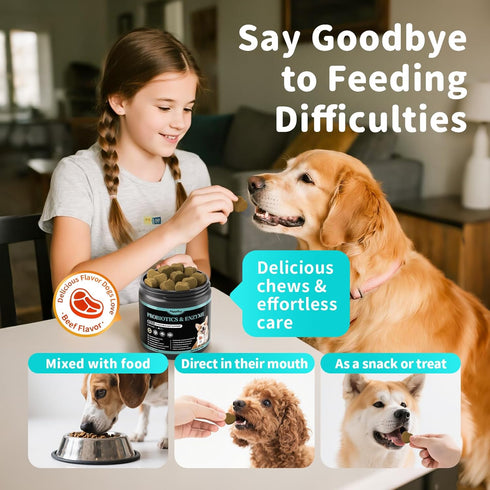 10B 5 5 90 Count Probiotics for Dogs, Digestive Enzymes & Pumpkin Fiber for Gut Health and Bowel Support, Dog
