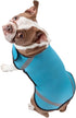 Pet Life Extreme Softshell Neoprene Dog Coat - Reflective Taping and Rash Guard for Small Medium Large Dogs