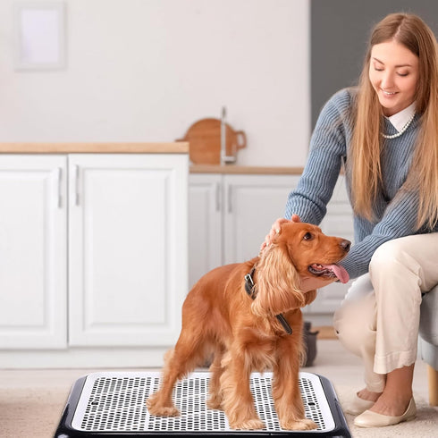 Puppy(Black,25.59 18.9 Inches,1 Mifoci Dog Pee Pad Holder Potty Tray Portable Dog Litter Box Toilet Training for Indoor