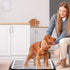 Puppy(Black,25.59 18.9 Inches,1 Mifoci Dog Pee Pad Holder Potty Tray Portable Dog Litter Box Toilet Training for Indoor