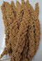 Higgins Pet Food HS60004 Sunshine Spray Millet, 12 Count