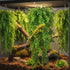 (4 Pack) PINVNBY Reptile Plants Hanging Fake Vines Boston Climbing Terrarium Plant with Suction Cup for Bearded Dragons