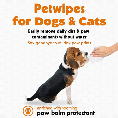 Petkin Big N' Thick Paw Wipes for Dogs, 100 Large Wipes for Cleaning Dirty Paws After Walks, Orange Scent