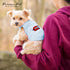 Parisian Pet Dog Tshirt - Blue “Babe Magnet” Embroidered Tank Top, Lightweight Cotton Tee for Small Dogs