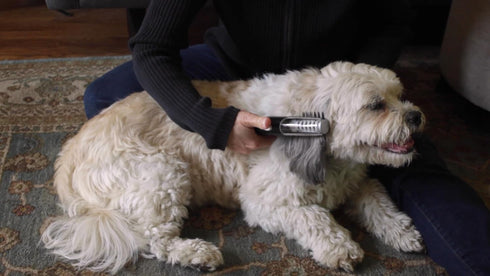 MISTIC COOL Alpha Pro - Dog Trimmer for Grooming, Painlessly Safely Removes Knots Tangles from Long Haired Dog,