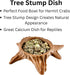 Lucky Critter Hermit Crab Food Dish Tree Stump | Hermit Crab Feeding Dish Food Bowl | Feeding Supplies Accessories