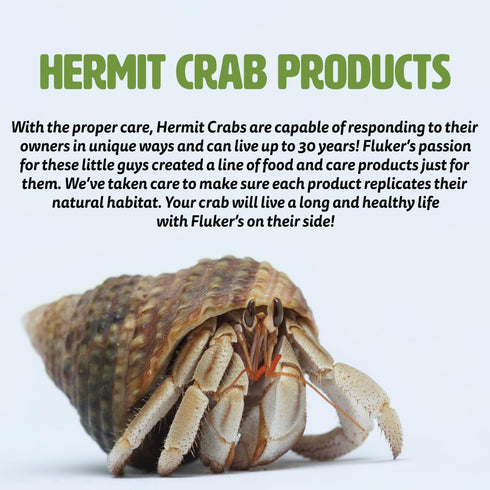Fluker's Purple Color Enhancer Treat for Hermit Crabs