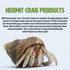 Fluker's Purple Color Enhancer Treat for Hermit Crabs