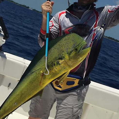 SANLIKE Telescopic Fish Gaff with Stainless Sea Fishing Spear Hook Tackle, Soft Handle Aluminum Alloy Pole for