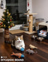 6 Pack 4 2 (1.5'') Cat Toys Balls for Indoor Kitten, Long-Lasting Plastic Balls & Plush Bells Balls, Interactive Kitty