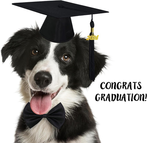 Dog Graduation Outfit - Adjustable Graduation Cap with Black Tassels 2023 Charm, Necktie and Bow Tie Collar for Dogs