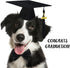 Dog Graduation Outfit - Adjustable Graduation Cap with Black Tassels 2023 Charm, Necktie and Bow Tie Collar for Dogs
