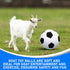 4 Pcs Goat Ball Toy Set with Covers, Anti Burst Training Toy with Inflator Pump