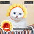 Weewooday 5 Pieces Cat Costume - Easter Bunny Hat Outfit with Ears for Funny Cat and Small Dogs Kitten Puppy Party