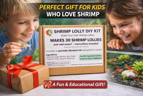 SHRIMPTASTIC AQUATICS Shrimp Lolly DIY Kit Freshwater Shrimp Food Making Kit for Aquarium Shrimp