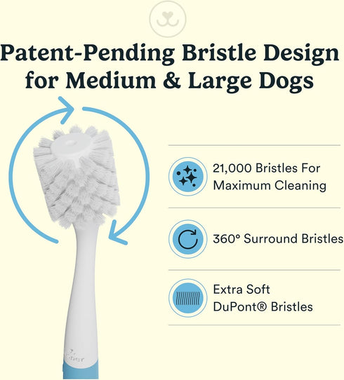 360, 2 Jasper Macrobrush Dog Toothbrush for Medium to Large Dogs, Soft-Bristled Dog Tooth Brushing Kit - Premium