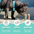 Natural Dog Company Powerhouse Bundle - 5 Healing Balms for Skin Irritations, Cracked Paws, 5 x 0.15oz Travel Sticks