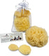Sea Sponges for Dogs, Luxury Canine Bath Care for Pet Grooming