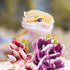 2pcs KALLORY Reptile Terrarium Artificial Plants Simulation Plant Decor for Tortoise Lizard Spider Frog Habitat
