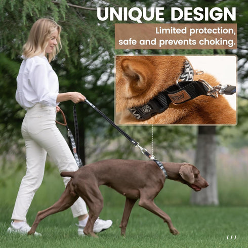 ANDA Martingale Dog Collar with Quick Release Buckle, Soft No Slip Ideal for Daily Walking and Training (Black and