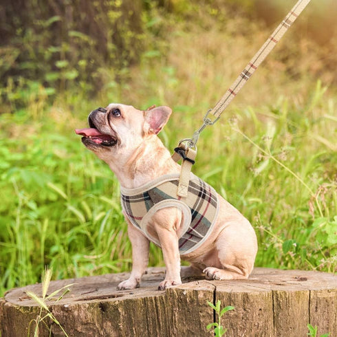 PUPTECK Soft Mesh Dog Harness and Leash Set, Step-in Plaid Puppy Padded No Pull Vest for XS Small Medium Dogs, Beige