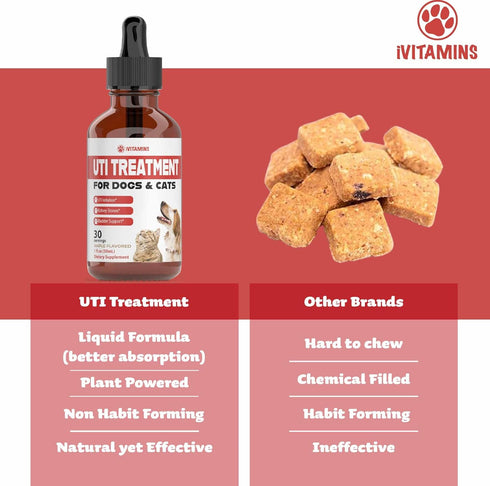 Dog UTI Treatment and Cat UTI Medicine, Cranberry Supplement for Dogs and Cats, 1 fl oz
