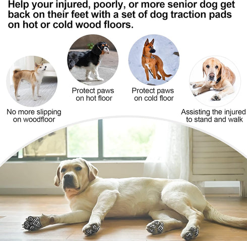 BEAUTYZOO Dog Anti-Slip Paw Grips, 36 Pcs Traction Pads for Small Medium Large Dogs on Hardwood Floors