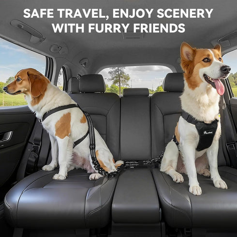 2Pack Car,3-in-1 360 Pawaboo Dog Seatbelt for Dog Car Seat Belt Bungee,Shockproof Dogs Tether for Cars with Buckle&Hook