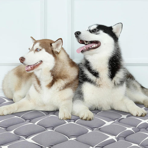 Dog Crate Mat, Ultra Soft Washable Dog Bed Mat with Anti-Slip Bottom, Cute Prints, 59" X 35"
