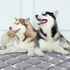 Dog Crate Mat, Ultra Soft Washable Dog Bed Mat with Anti-Slip Bottom, Cute Prints, 59" X 35"