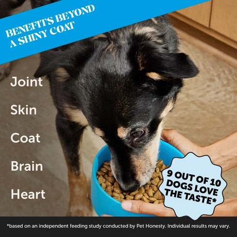 PetHonesty Omega 3 Fish Oil Supplement for Dogs & Cats (32oz) - Wild Caught for Skin, Coat, Immunity, Joint, Brain &
