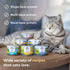 ZIWI Peak Canned Wet Cat Food, All Natural, High Protein, Grain Free, Limited Ingredient, Superfoods (Mackerel, Case of
