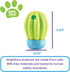 Brightkins Cactus Surprise Treat Dispenser, Dog Birthday Toy, Treat Dispenser for All Breeds, Medium