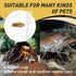 Iffitya 2 Packs Large Hermit Crab Water Tank - Ideal Hermit Crab Pool and Tank Combination - Hermit Crab Water Tank