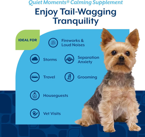 70 Count NaturVet Quiet Moments Calming Dog Supplement, Dog Soft Chews with Melatonin to Help Reduce Stress from