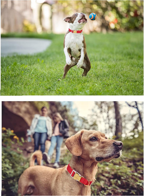Babole Nylon Dog Collars Red for Small Puppy Dog, Adjustable Soft Comfortable Pet Collars with Safety Metal Buckle for